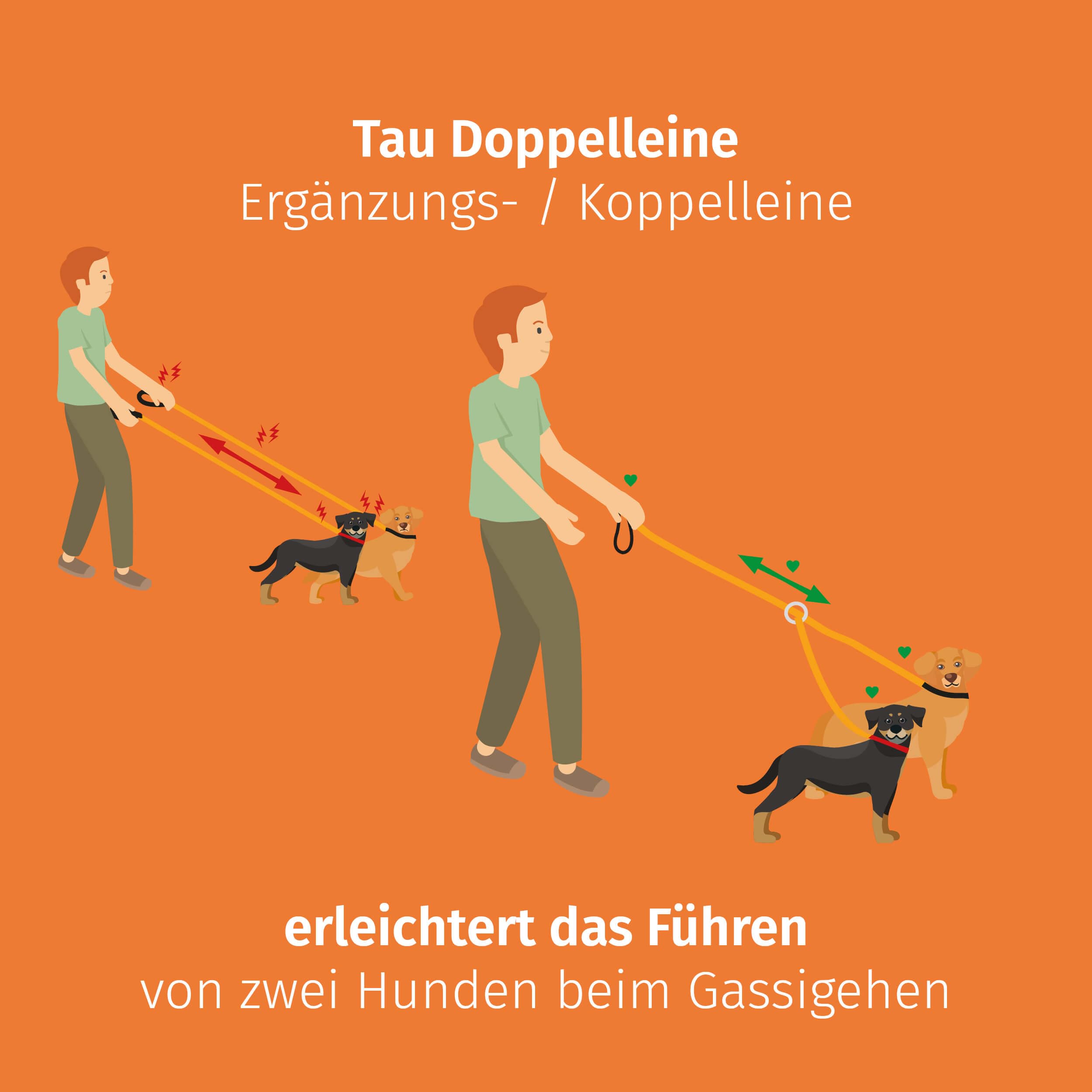 Floxik Laisse double pour 2 chiens gris/orange - Réfléchissante, extensible et anti-enchevêtrement - Laisse double pour chien à coupler - Parfaite pour les chiens de petite à moyenne taille