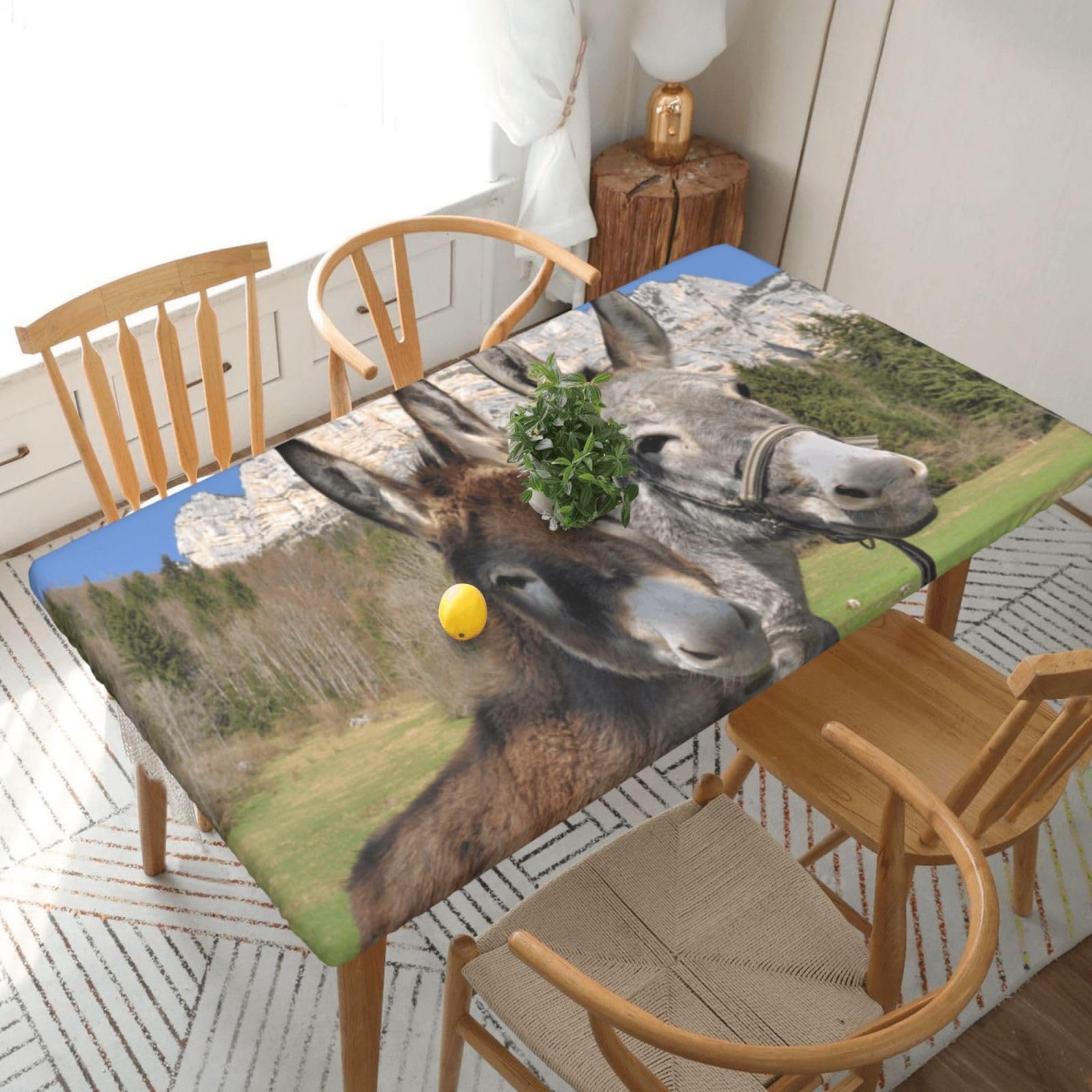 DCEHGEW Elastic Fitted Rectangle Tablecloth for 5ft Tables, Funny Donkeys Printed Oilproof & Washable Fabric Picnic Table Cloth Table Covers