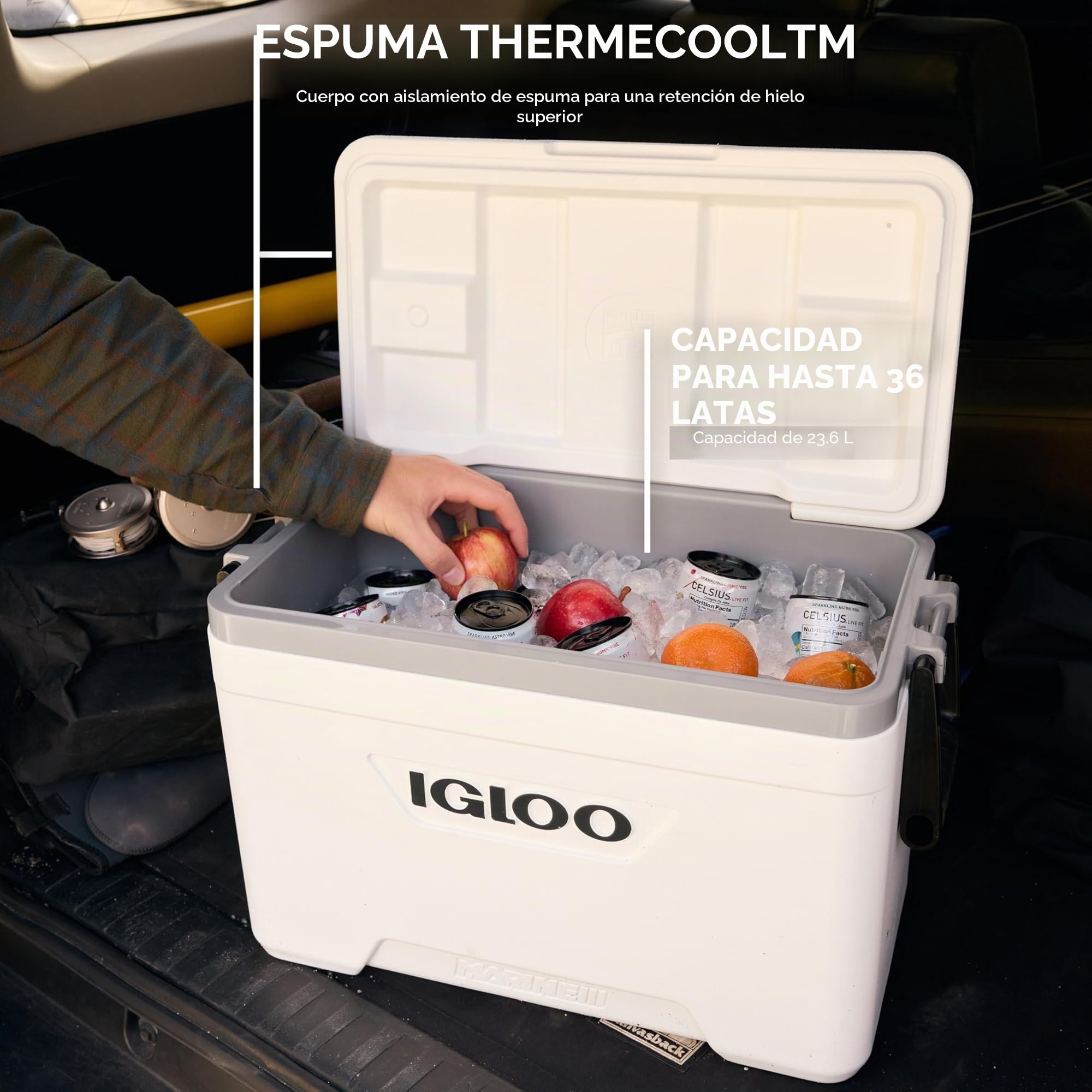 Igloo Marine Ultra Cooler