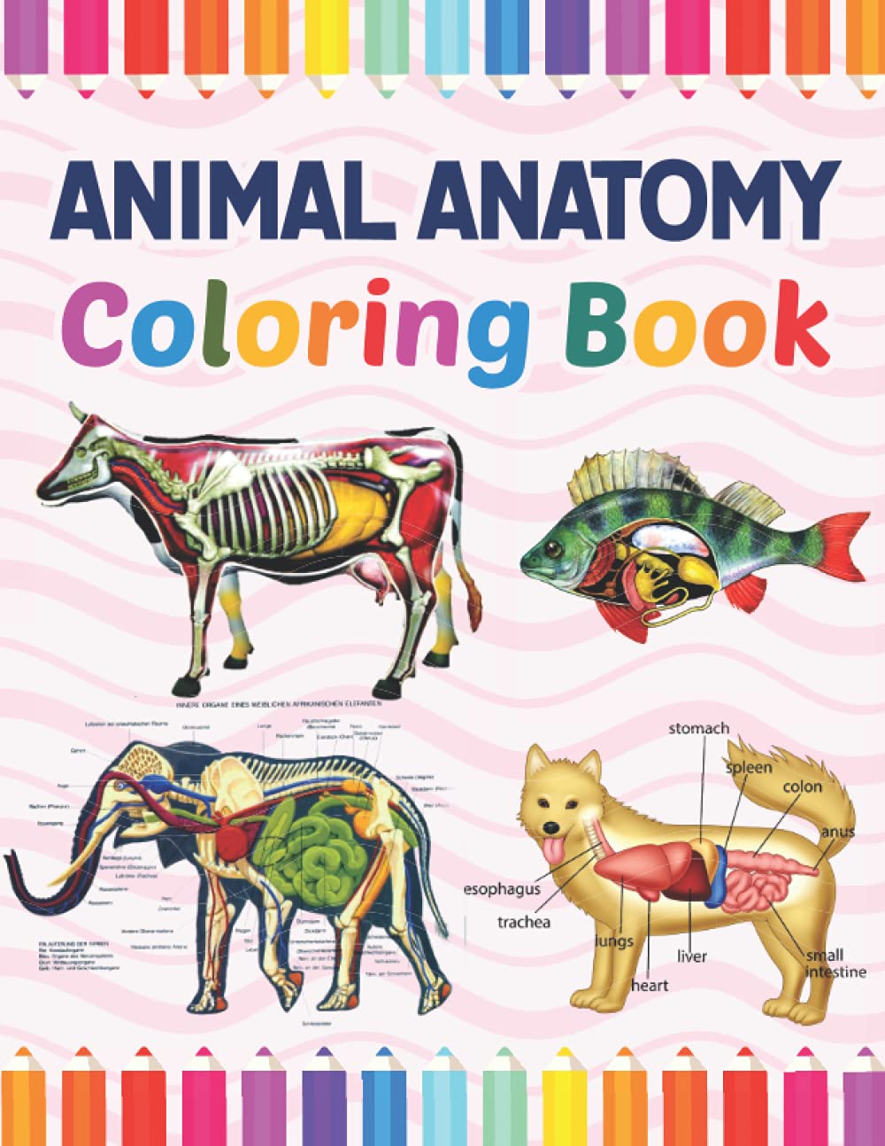 Buy Animal Anatomy Coloring Book Introduction to Animal Anatomy and