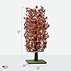 Product Photo 7