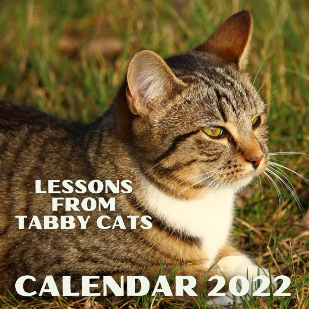 Lessons From Tabby Cats Calendar 2022 Mini Monthly Planner With 