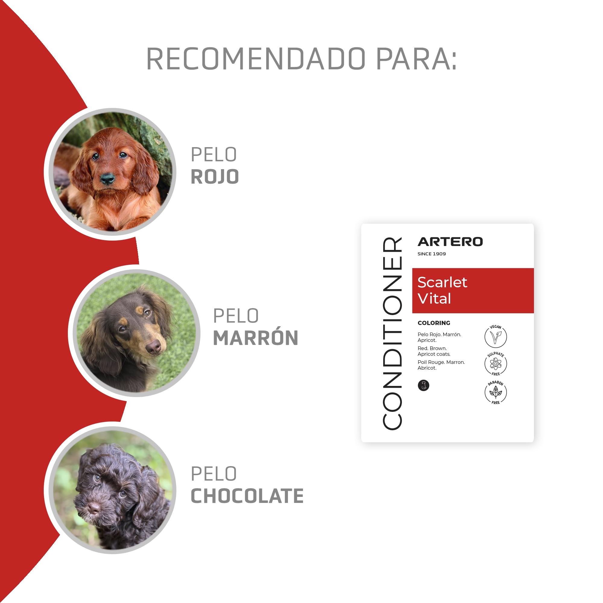 Pack Caniche Rojo. Champú 650 ml y Mascarilla 650 ml