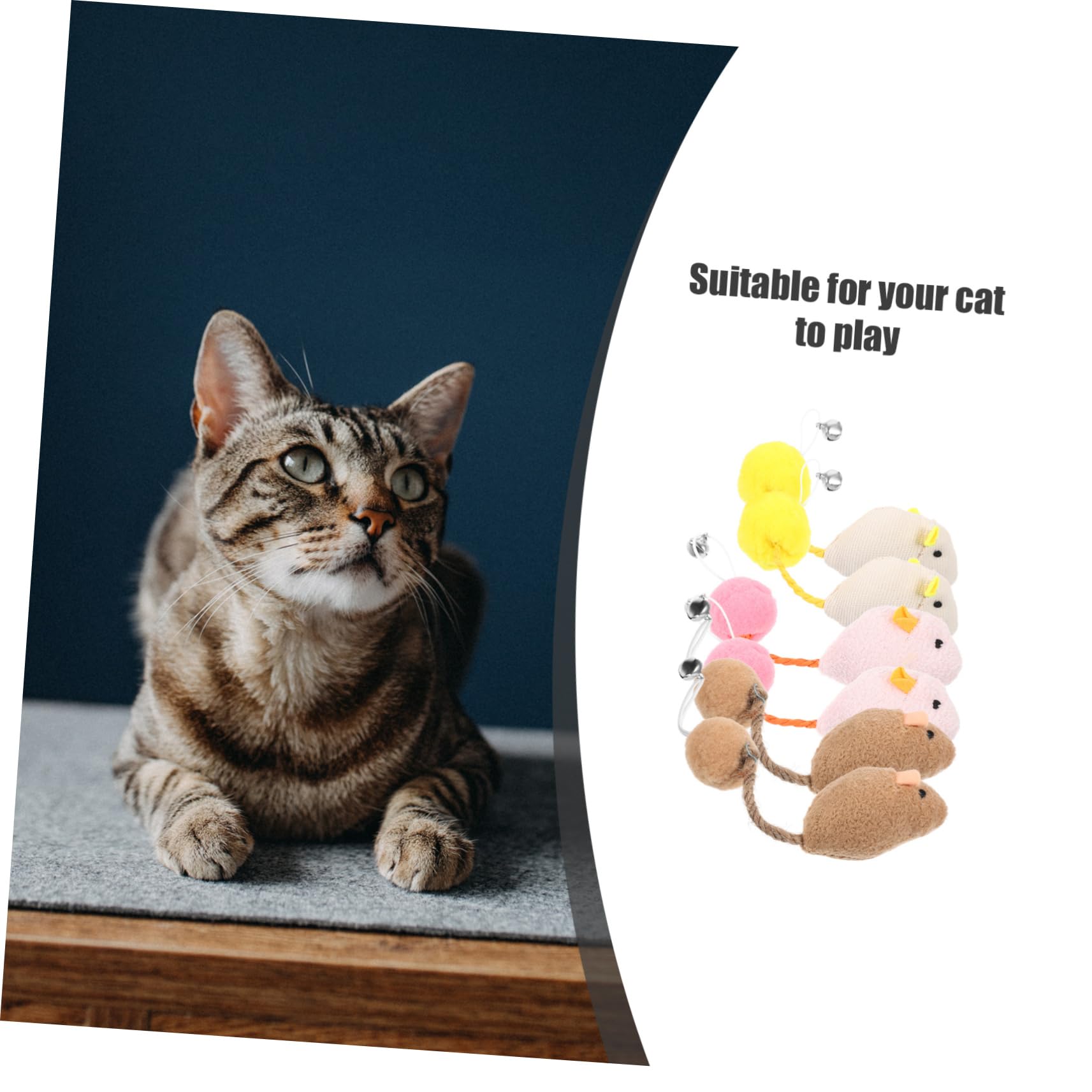 Toddmomy Lot De 6 Jouets pour Chats Et Souris Compacts Et Réutilisables À Gratter Et À Transporter
