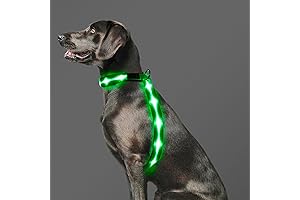 LED Light-Up Dog Harness; A Collar of Illumination for Your Nocturnal Canine Companion