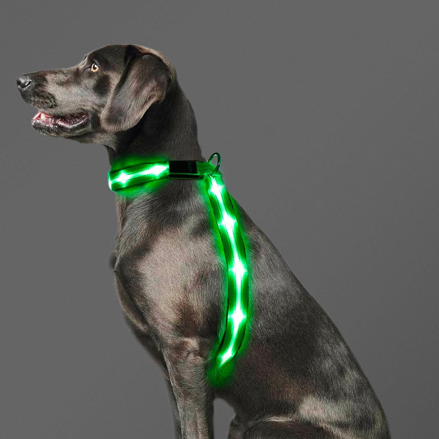 LED Light Up Dog Vest Harness Rechargeable, Soft Padded, Adjustable & Reflective, Waterproof, Glow Dark Dog Light Harness for Camping Night Safety Walking, Large Pink