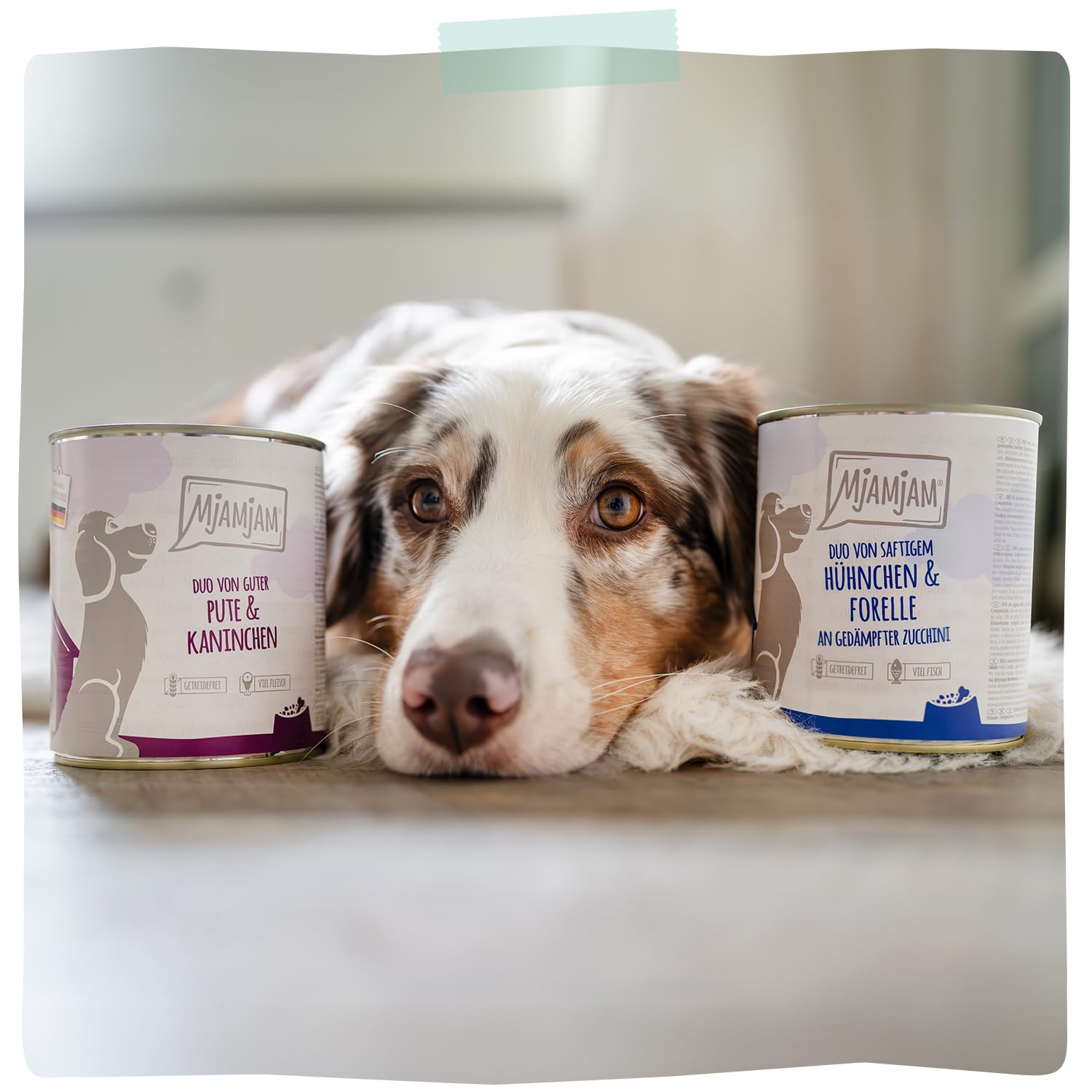 MjAMjAM - Comida húmeda Premium para Perros - Quetschie - Pava Rica con riso cocido y calabacín al Vapor, Pack de 12 (12 x 125g), sin Gluten con Extra de Carne