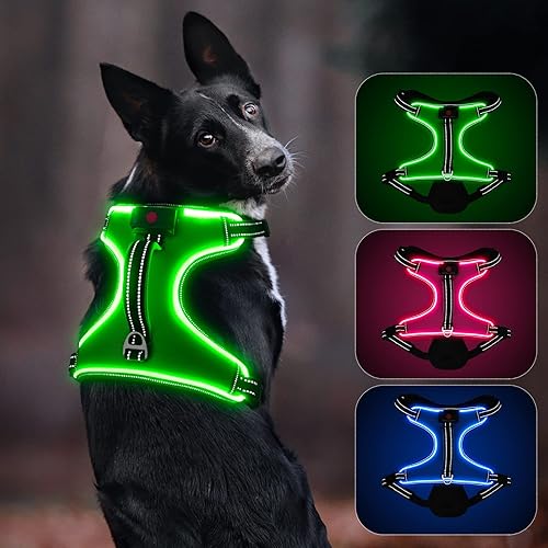 Arnés para perro con luz, arnés LED con asa recargable y ajustable, arnés iluminado para perros de tamaño pequeño, mediano y grande (L, verde)