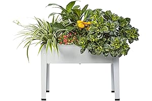 Raised Garden Bed: Elevate Your Apartment Patio Gardening