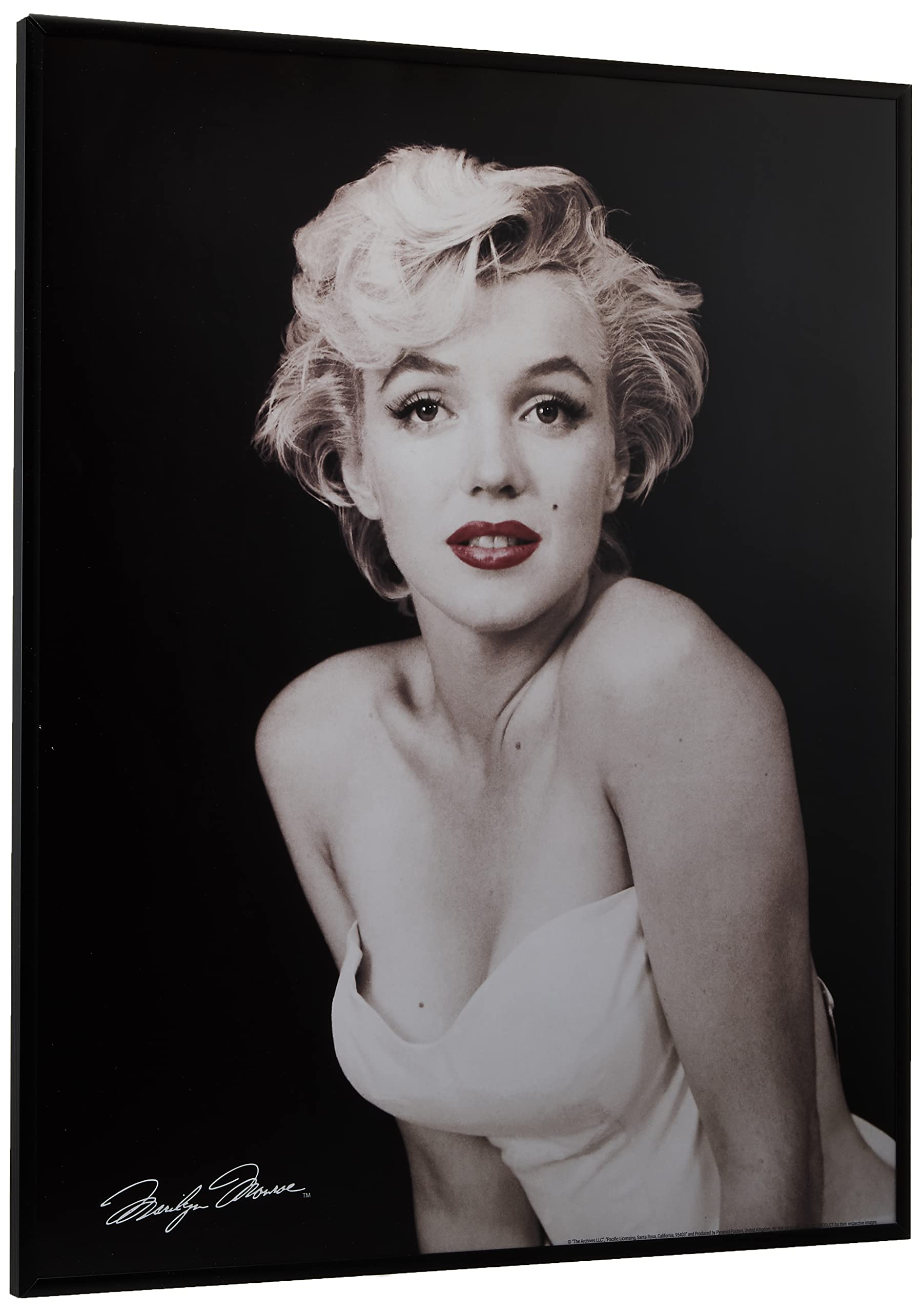 Amazon.co.jp: ポスター マリリン・モンロー リップ+アルミフレーム