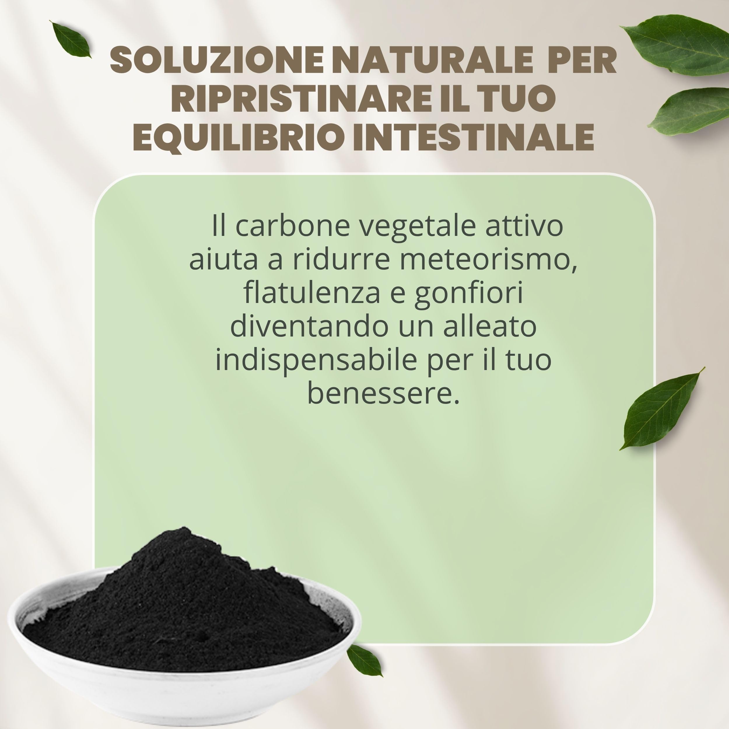 Carbone Vegetale 500 g - Polvere Effetto Anti Gonfiore