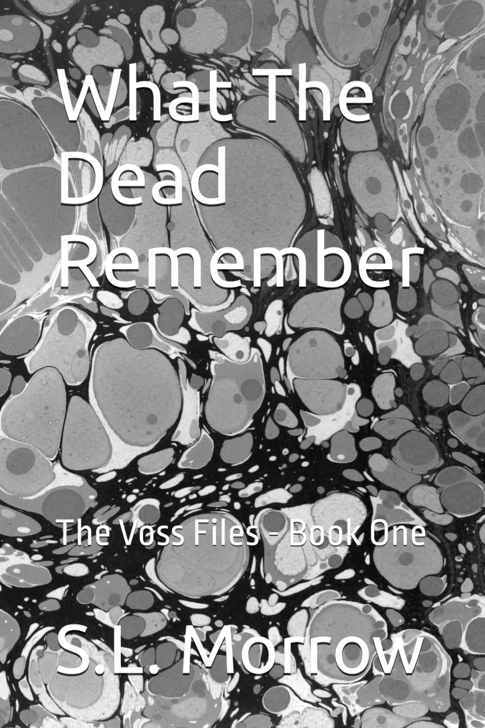 What The Dead Remember: The Voss Files - Book One