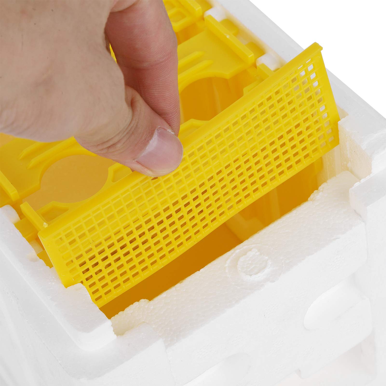 Boîte de Ruches en Mousse et en Plastique, Mini Nuc de Mating pour la Reproduction la Reine avec portabilité Compacte, Copulation Apidea Equipment pour Les Fournitures Apiculteurs