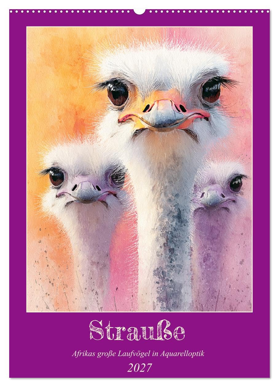 Strauße. Afrikas große Laufvögel in Aquarelloptik (Wandkalender 2027 DIN A2 hoch), CALVENDO Monatskalender: Die majestätische Ruhe und dynamische ... in schönen Illustrationen (CALVENDO Tiere)