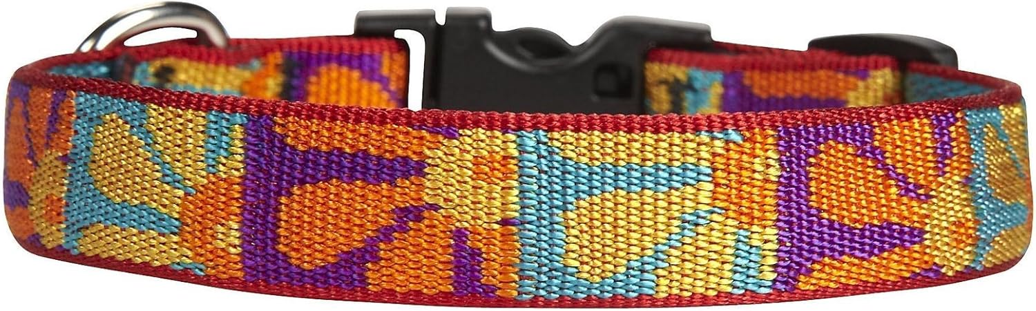 LupinePet Originals 3/4" Crazy Daisy 9-14" Adjustable Collar for Small Dogs 3/4'W; 9-14" Neck