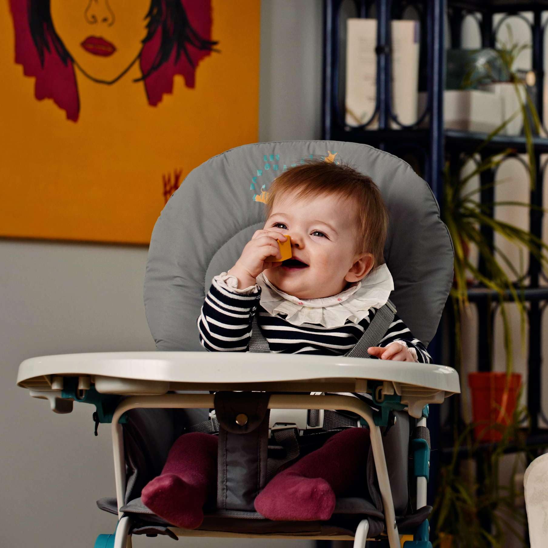 Bambisol Chaise Haute Bébé Pliable - Ultra Compacte et Légère (4,7kg) - Tablette Amovible Réglable - Pliable Facile - Nettoyage Facile - Sécuritaire - Bébé jusqu'à 3 ans et/ou 15 kg - Grise