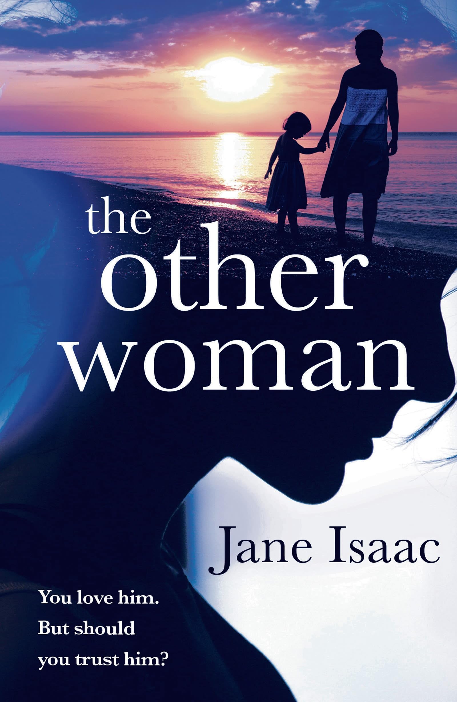 The Other Woman: A suspenseful crime thriller with a domestic noir twist (DC Beth Chamberlain)