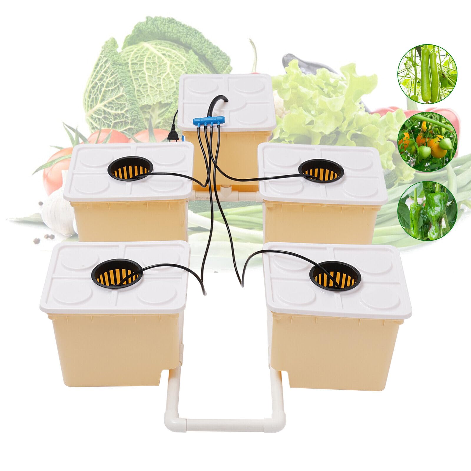 de Cultivo hidropónico de 11 L, Materiales PP y, Kit de Cultivo hidropónico para jardín Interior, Kit de Cultivo hidropónico con 5 Cubos, Bomba de Agua