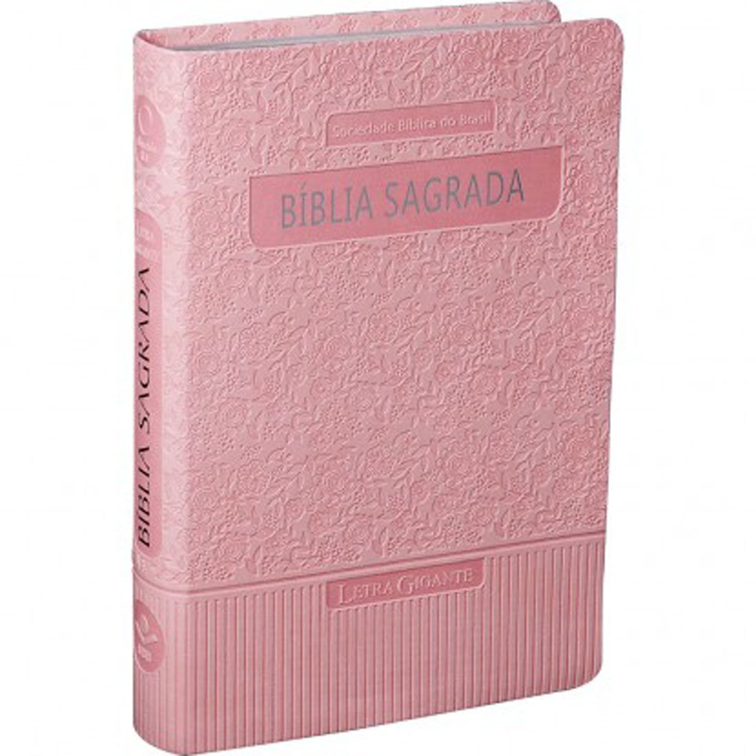 Santa Bíblia Letra Grande / Large Print (Portuguese Edition)