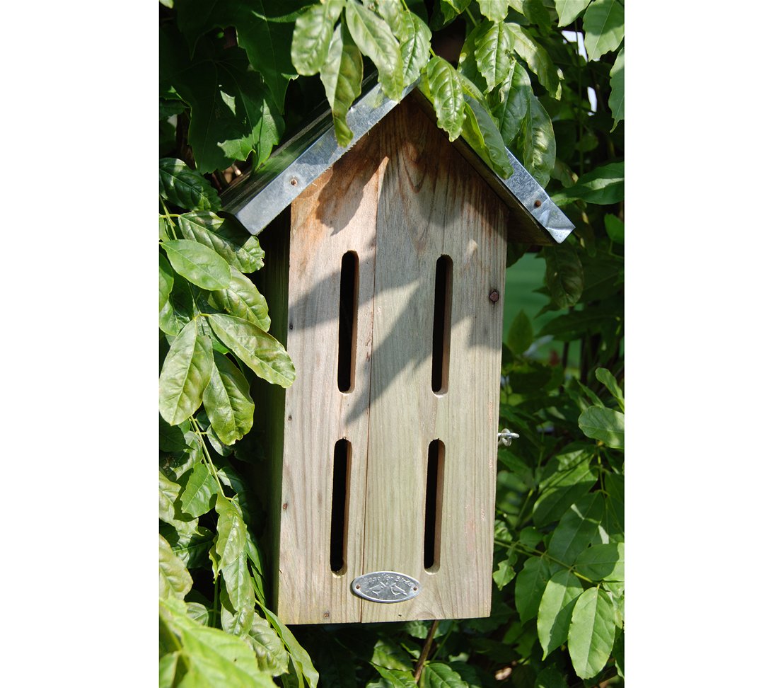 Dehner Schmetterlingskasten, ca. 32.5 x 19 x 14.5 cm, aus FSC® - zertifiziertem Kiefernholz