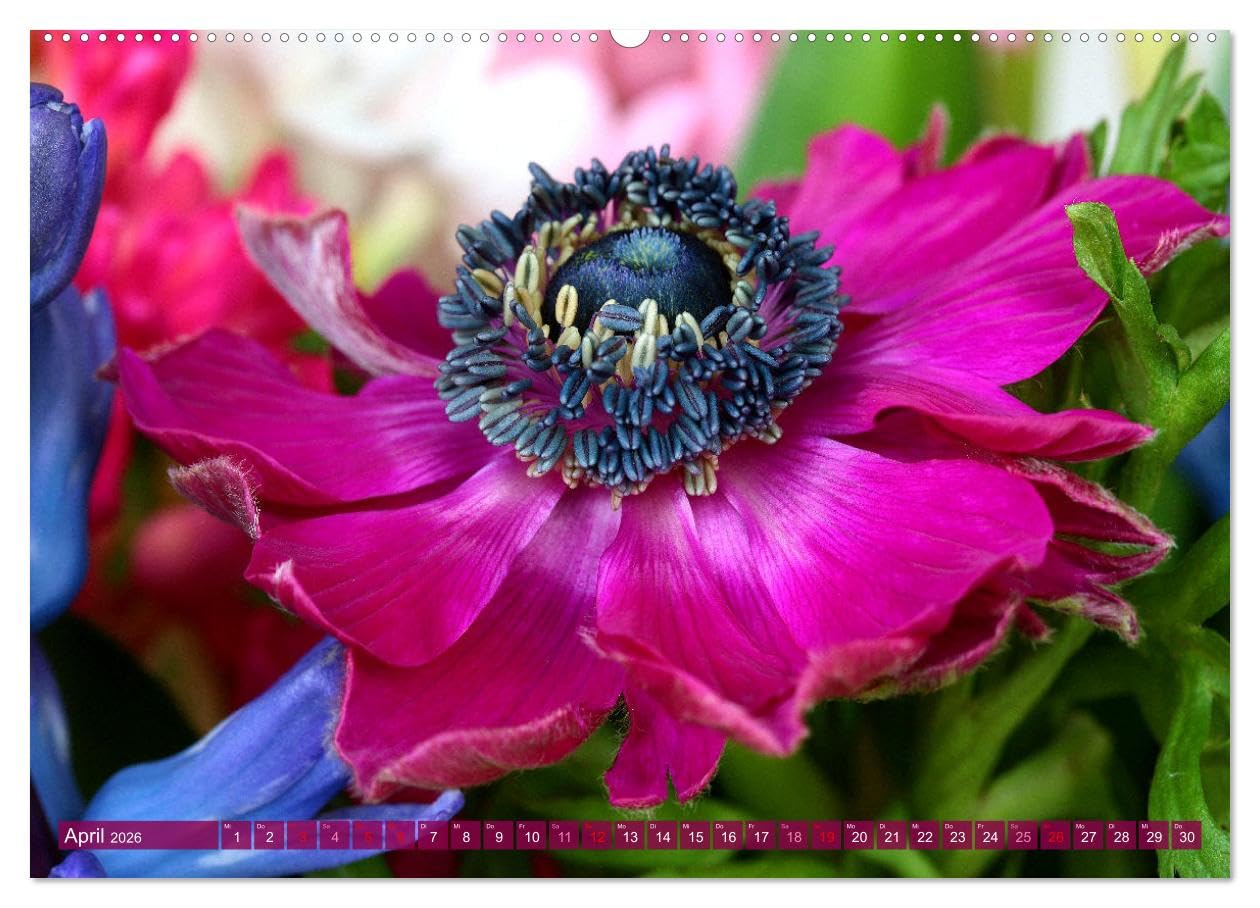 Blumen - Eine bunte Mischung (Wandkalender 2026 DIN A2 quer), CALVENDO Monatskalender: Strahlende Blüten und Sträuße (CALVENDO Natur)