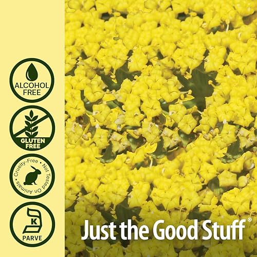 Miniatura 5 de Natures Answer Extracto de raíz de lomatium Dissectum - Suplemento natural de hierbas - Sin gluten sin alcohol - Ideal para inmunidad bienestar