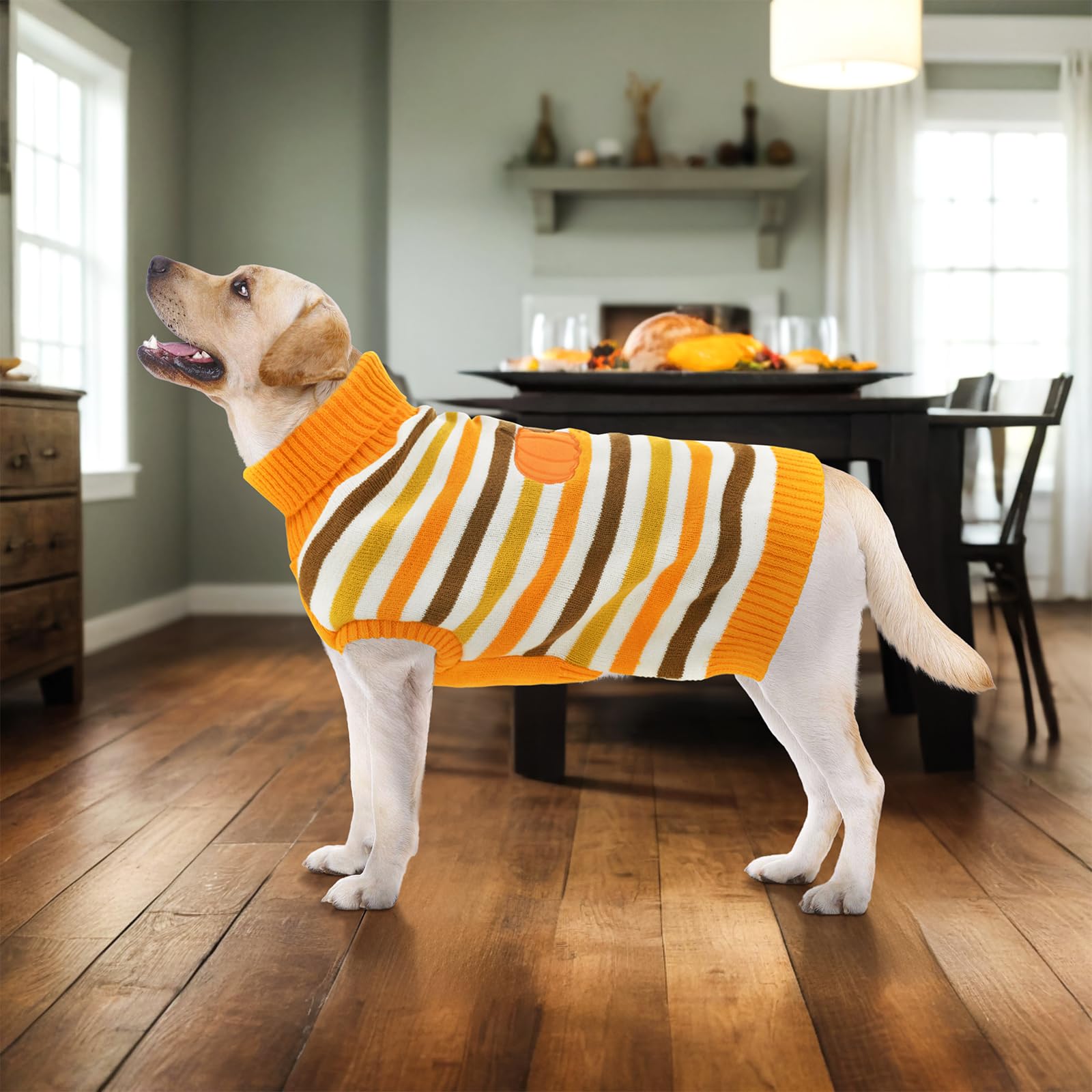 Pull en tricot à col roulé pour chien et chat de petite, moyenne et grande taille – Motif à rayures et à col roulé – Taille 3XL