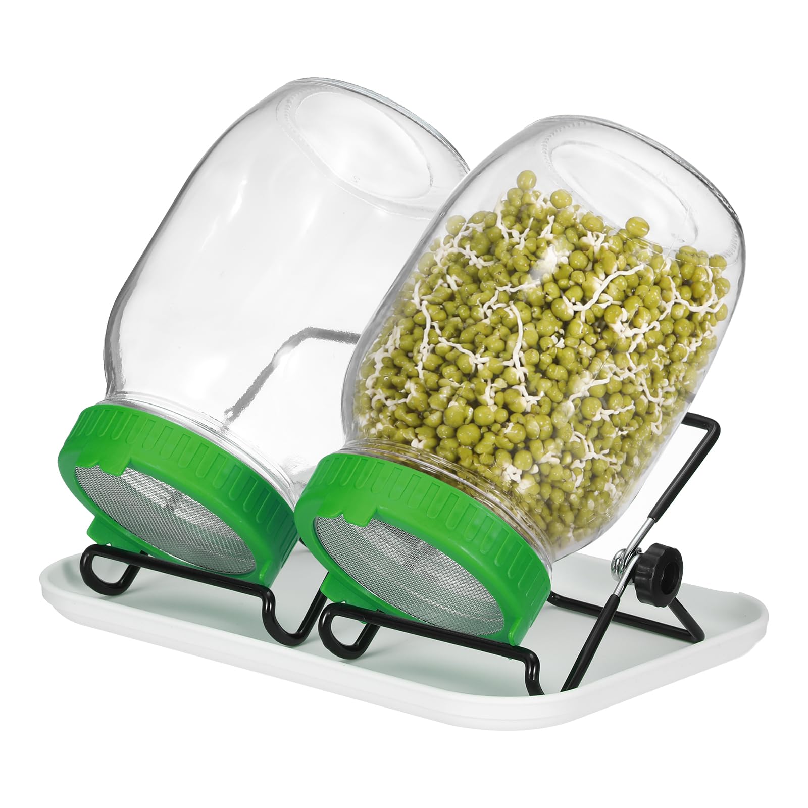 QUARKZMAN 1000ML Sprossenglas Set Grün 2 Set Für Die Keimung von Pflanzen