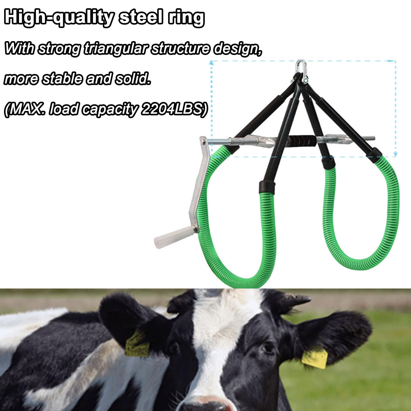 https://m.media-amazon.com/images/I/713cQDcH2ZL.jpg