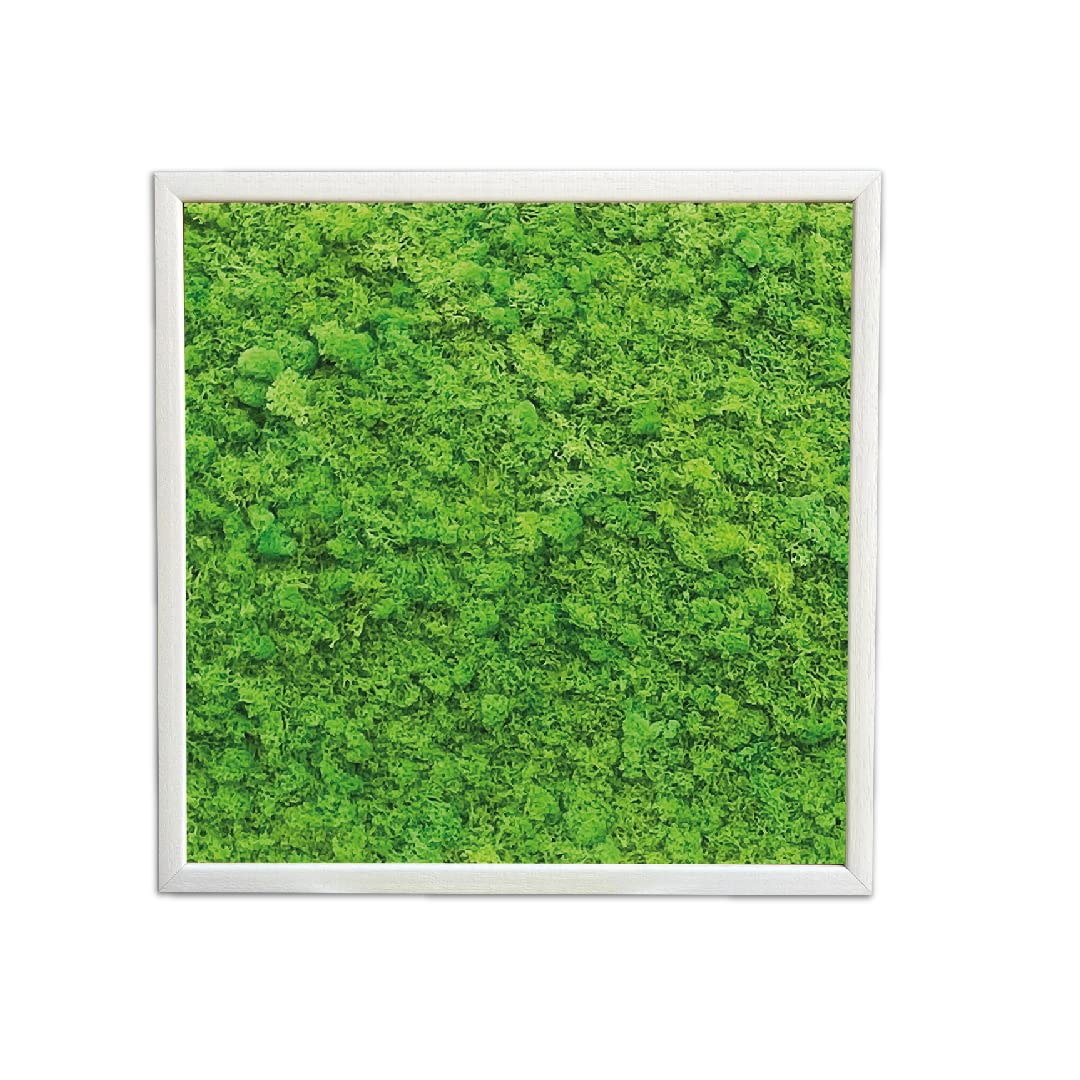 Quadro in Muschio Stabilizzato (70x70cm, Verde Prato) cm, Lichene Premium - Cornice in Legno Rinforzato, Ecologico e Senza Manutenzione - Durata Oltre 10 Anni, Decorazione Naturale per Casa e Ufficio