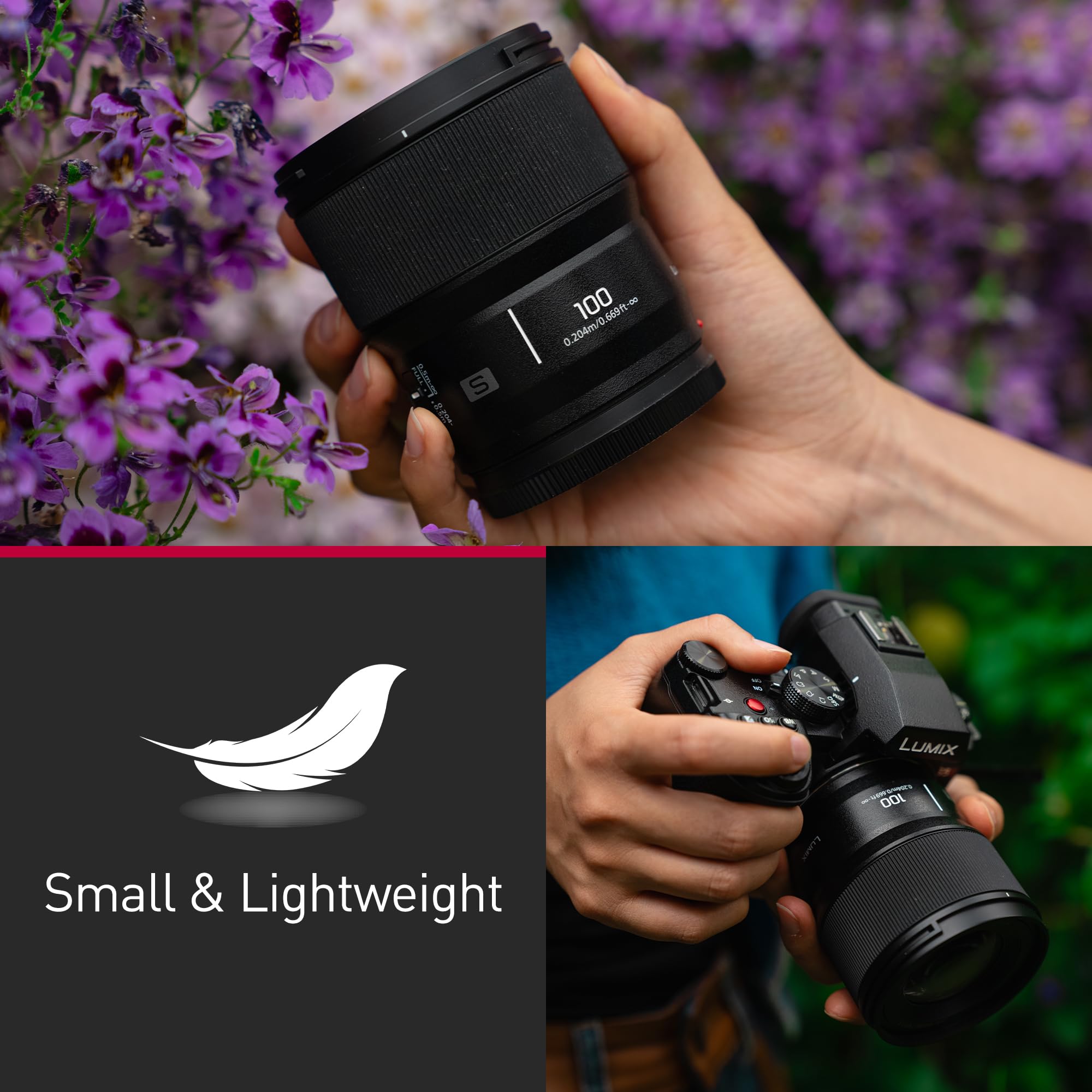 Panasonic Lumix S-E100 100mm F2.8 Macro, Obiettivo per Fotocamera Full Frame, Compatto e Leggero, 298g, Motore Lineare a Doppia Fase, Ingrandimento Dimensione Reale 1:1, Ottimale per Video, Nero