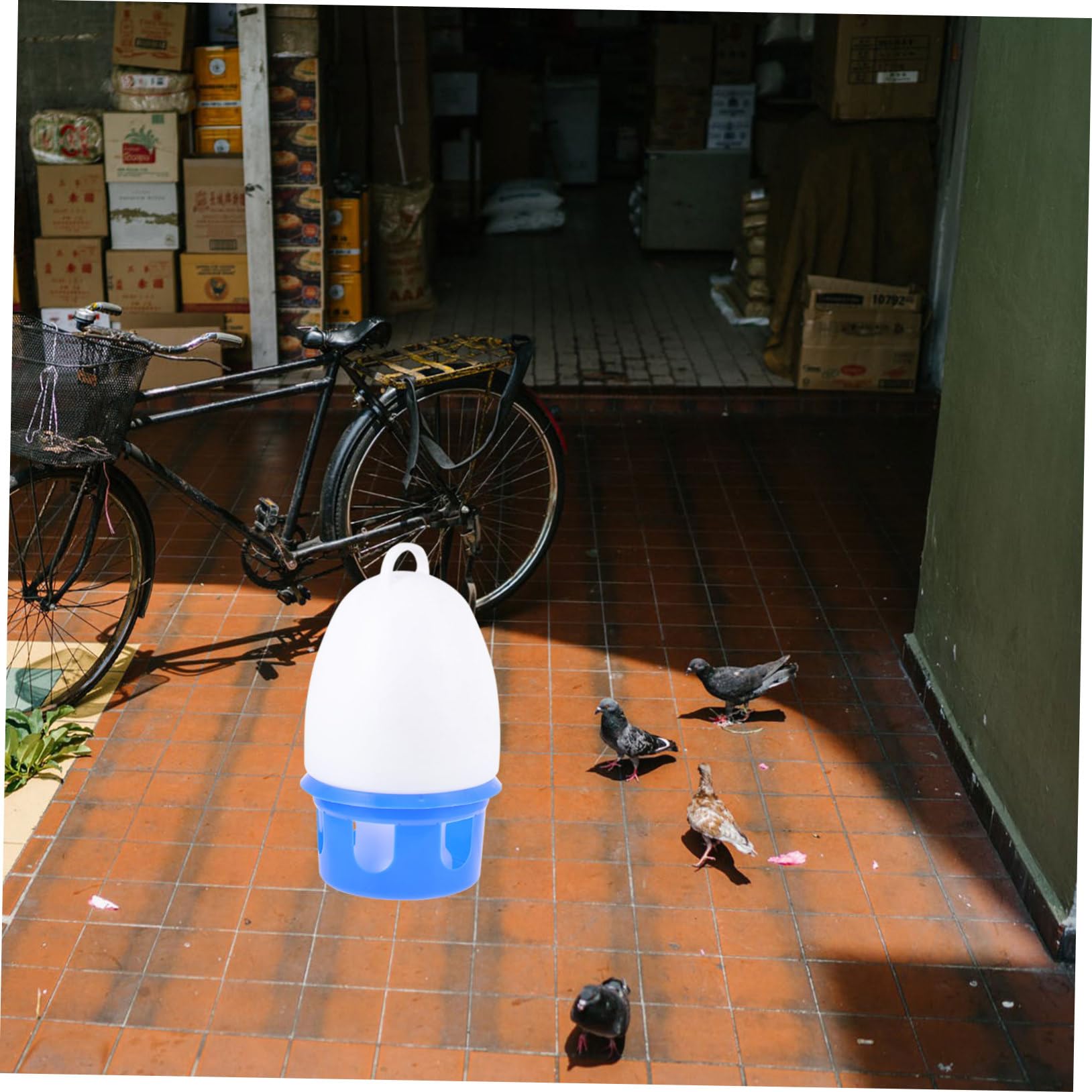 Abreuvoir pour Pigeons Rond Bleu en PVC, Modèle Détachable