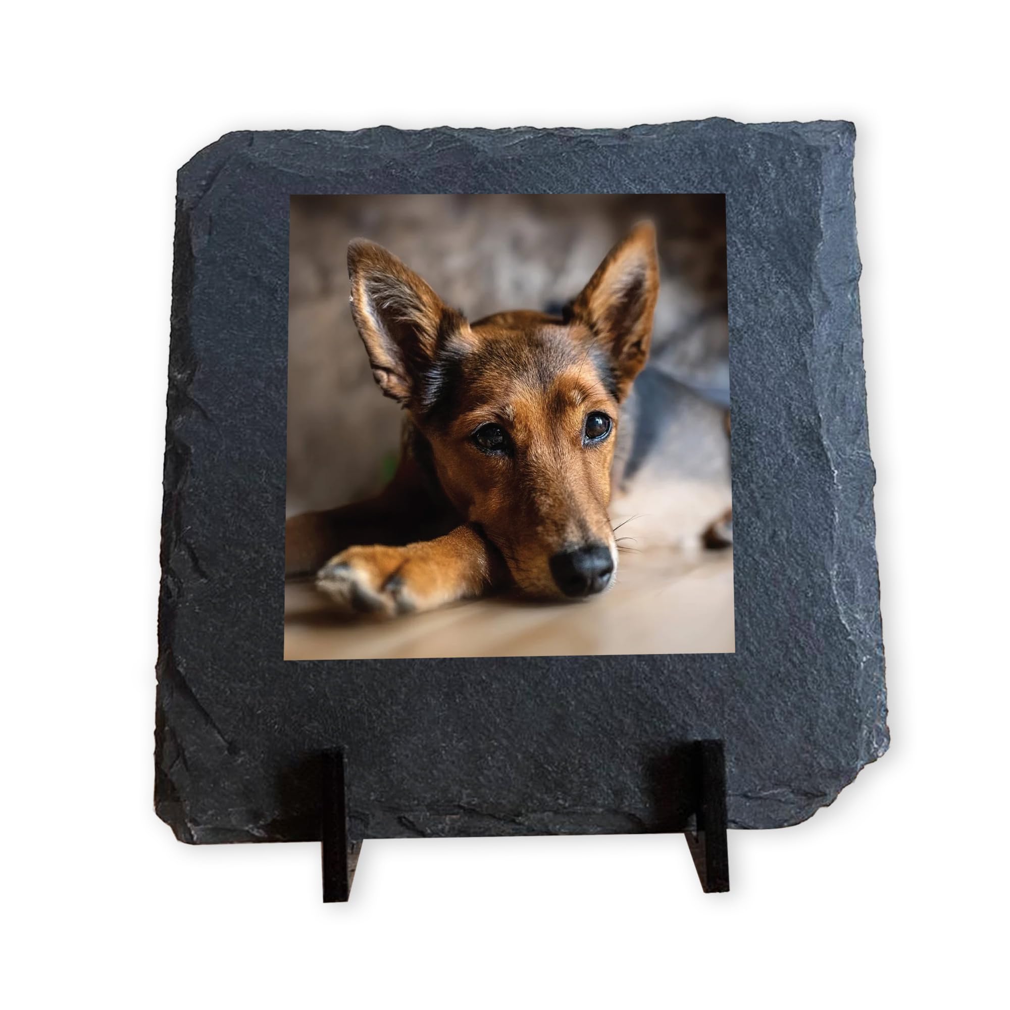 Red Ocean Personalised For Dog, Dog Lover For Birthday Christmas, Personalised Sign, Slate Sign, Puppy, Photo Plaque Cat Pet Keepsake Pet