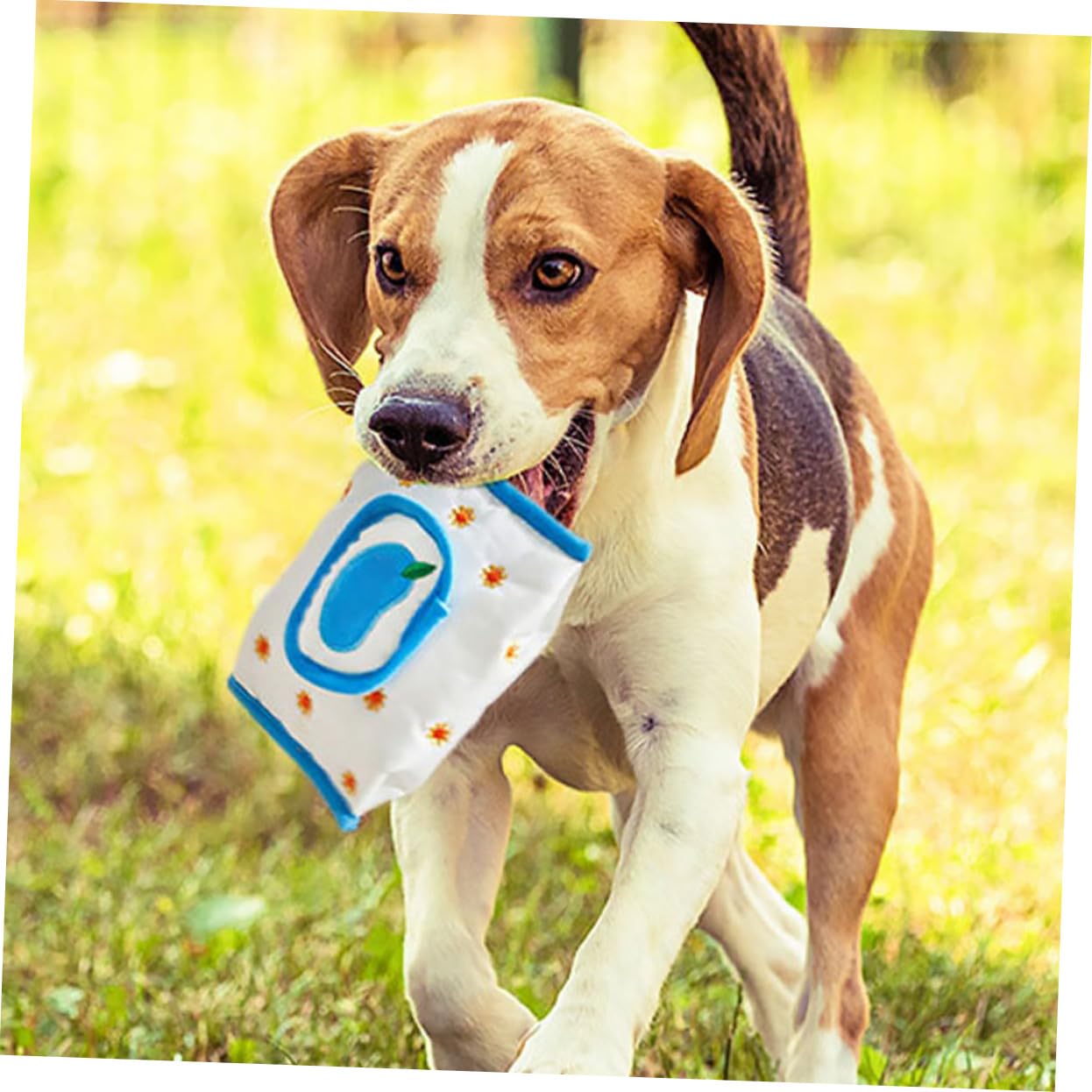 SUPVOX 8piezas Juguete Olfativo para Perros Juguetes Interactivos De Alimentación Lenta para Cachorros De Interior Papel Extraíble