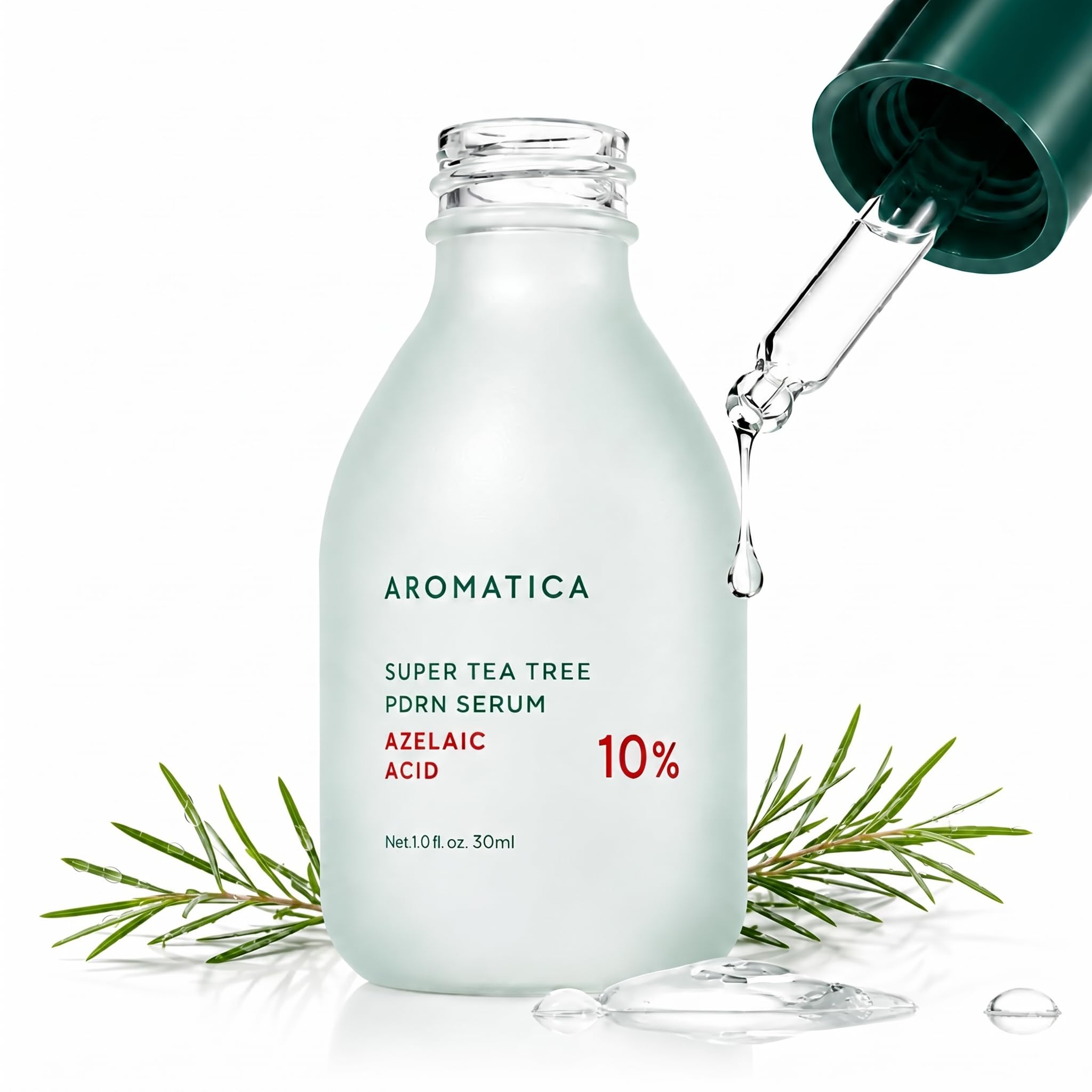 Amazon.com: AROMATICA: Bestselling