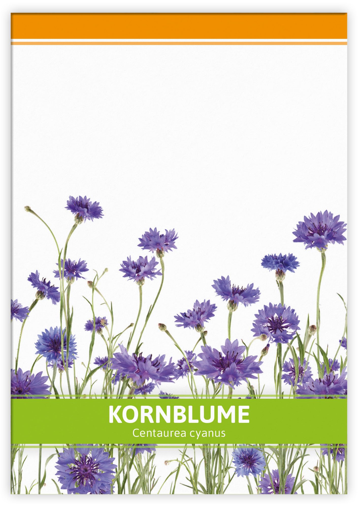 FLORTUS Kornblumen Samen für Gastgeschenke (100 Stück) | Blumensamen als Dankeschön Geschenke, Mitgebsel & Werbegeschenke | Wildblumensamen