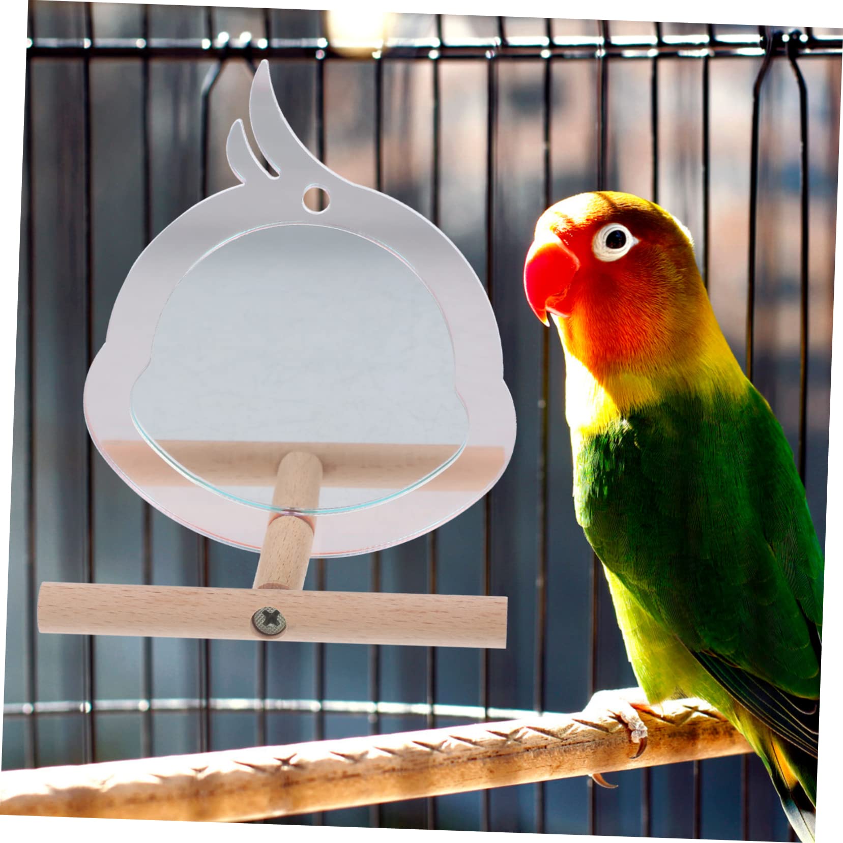 BESPORTBLE 5piezas Percha para Aves De Diseño Adorable Soporte Resistente para Periquitos y Loros Accesorio De Entrenamiento Creativo Espejo para Jaulas De Mascotas
