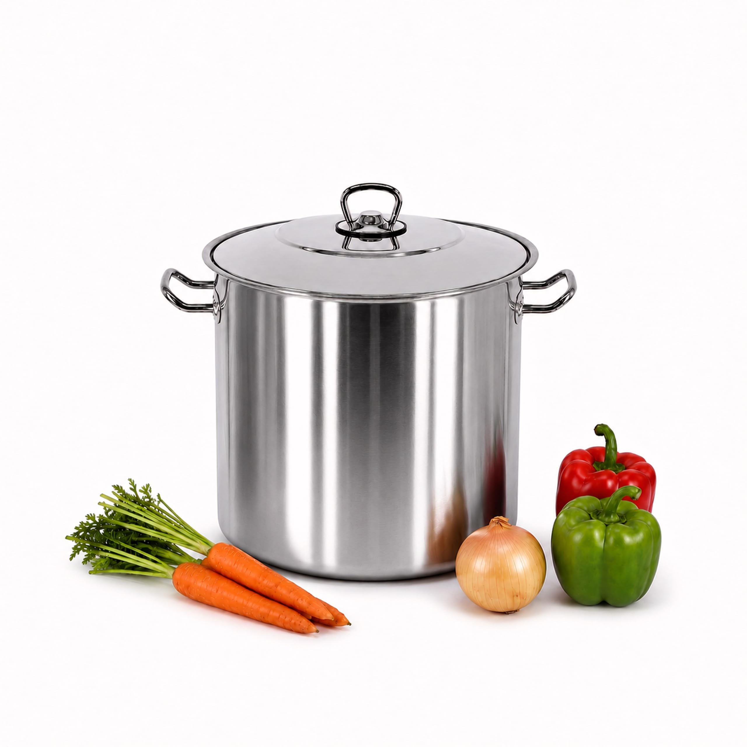 GEEZY 8.5L Arian Gastro Stainless Steel Stock Pot with Lid & Induction 22cm