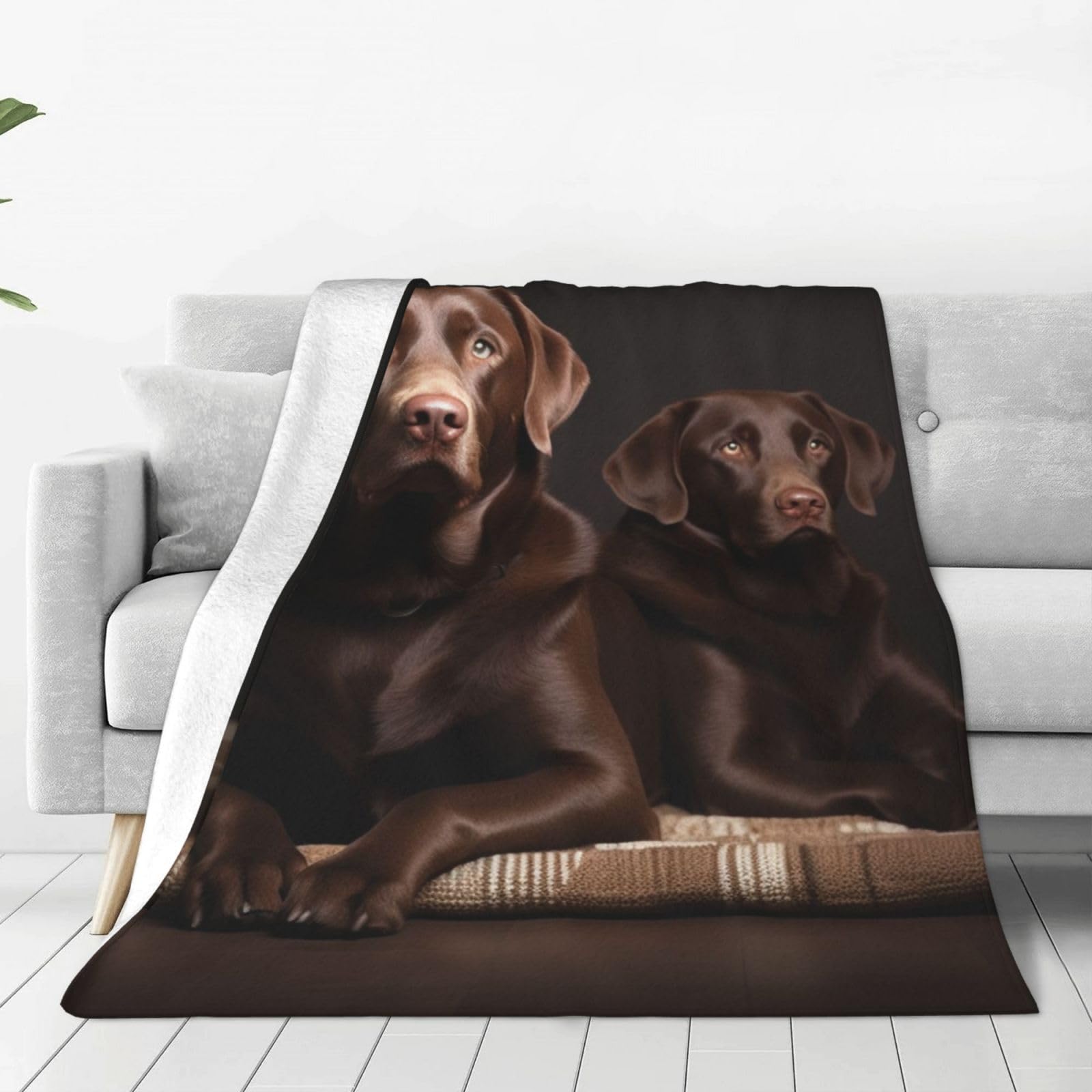 KLOPH Brown Labrador Retriever Throw Blanket 50"x40" Flannel Fluffy Warm Blanket for Couch, Reversible Plush Blankets for Bed, Comfy Fuzzy Blanket for Sofa, Plush Lightweight-Blankets for All Season