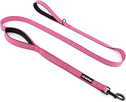 Double Handle Dog Leash 6 FT Reflective 2 Handle Traffic Lead with Padded Grip, Heavy Duty Nylon Leash for Walking Training, for Small Medium Large Dogs, Pink