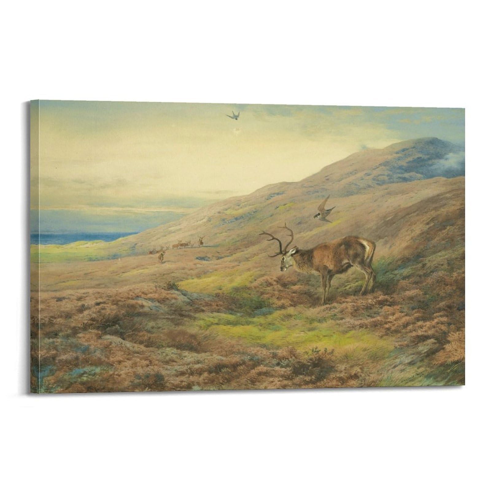 Tableau cerf et oiseaux d'Archibald Thorburn | Décoration murale nature 50x75 cm - 6