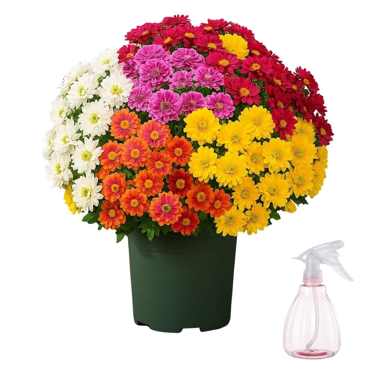 Chrysanthèmes d'extérieur artificiels pour sublimer votre balcon en automne au coucher du soleil