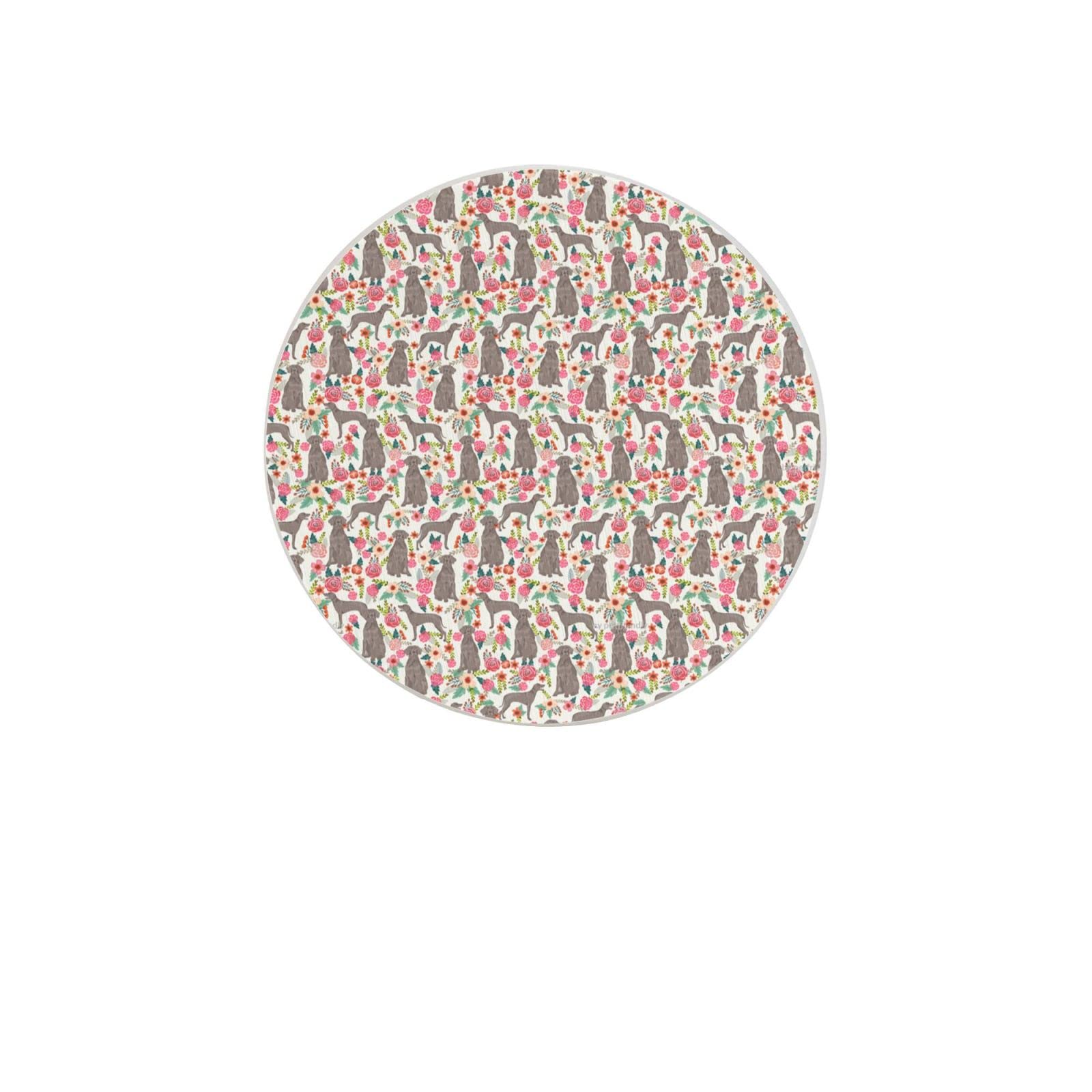 Weimaraner Two Pieces Drink Coaster for Tabletop Protection Place Mats for Home Decor