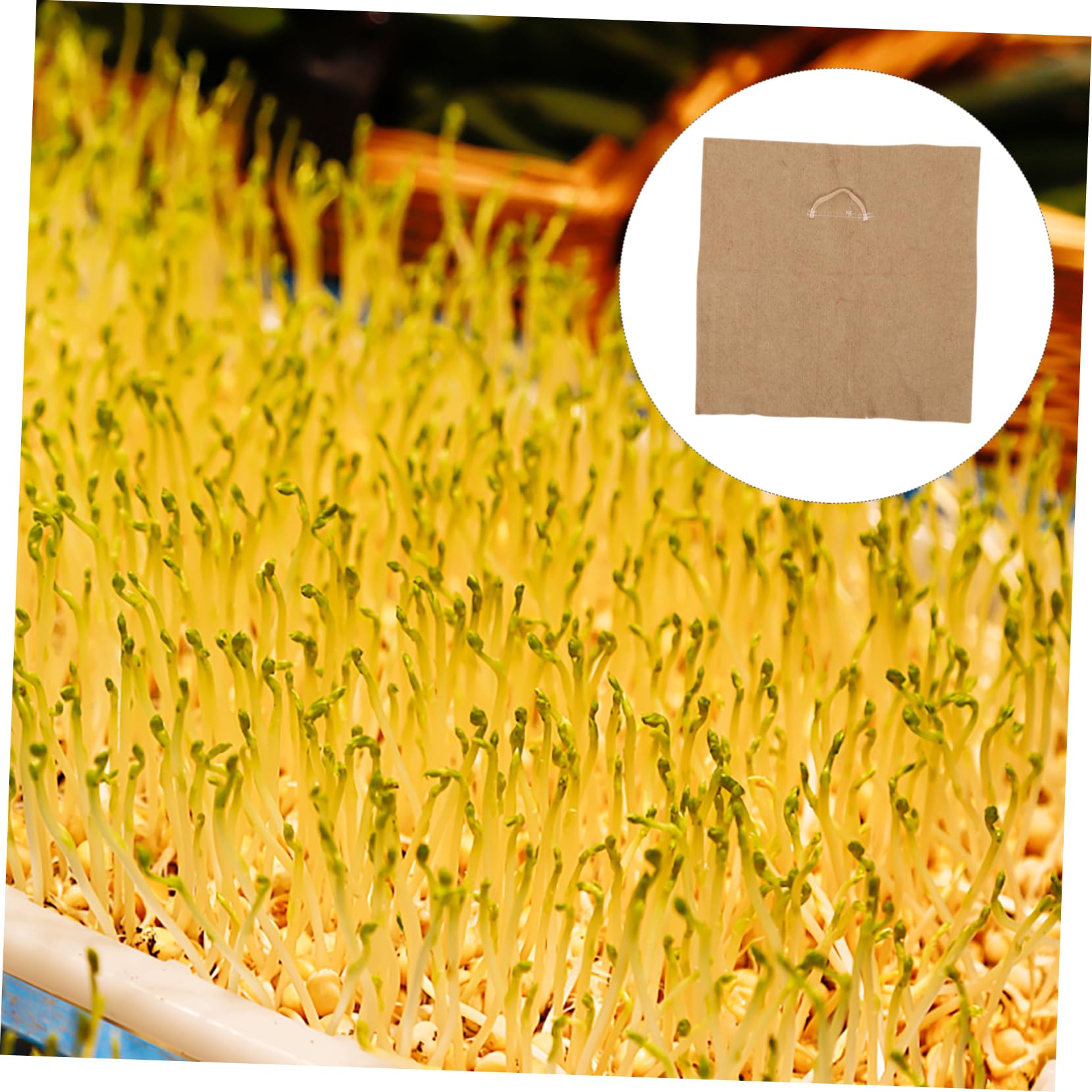 4 Pezzi Cuscinetto in Juta per Vassoio di Semina, Carta per Germinazione, Trattiene L’Acqua e Favorisce la Crescita di Piantine