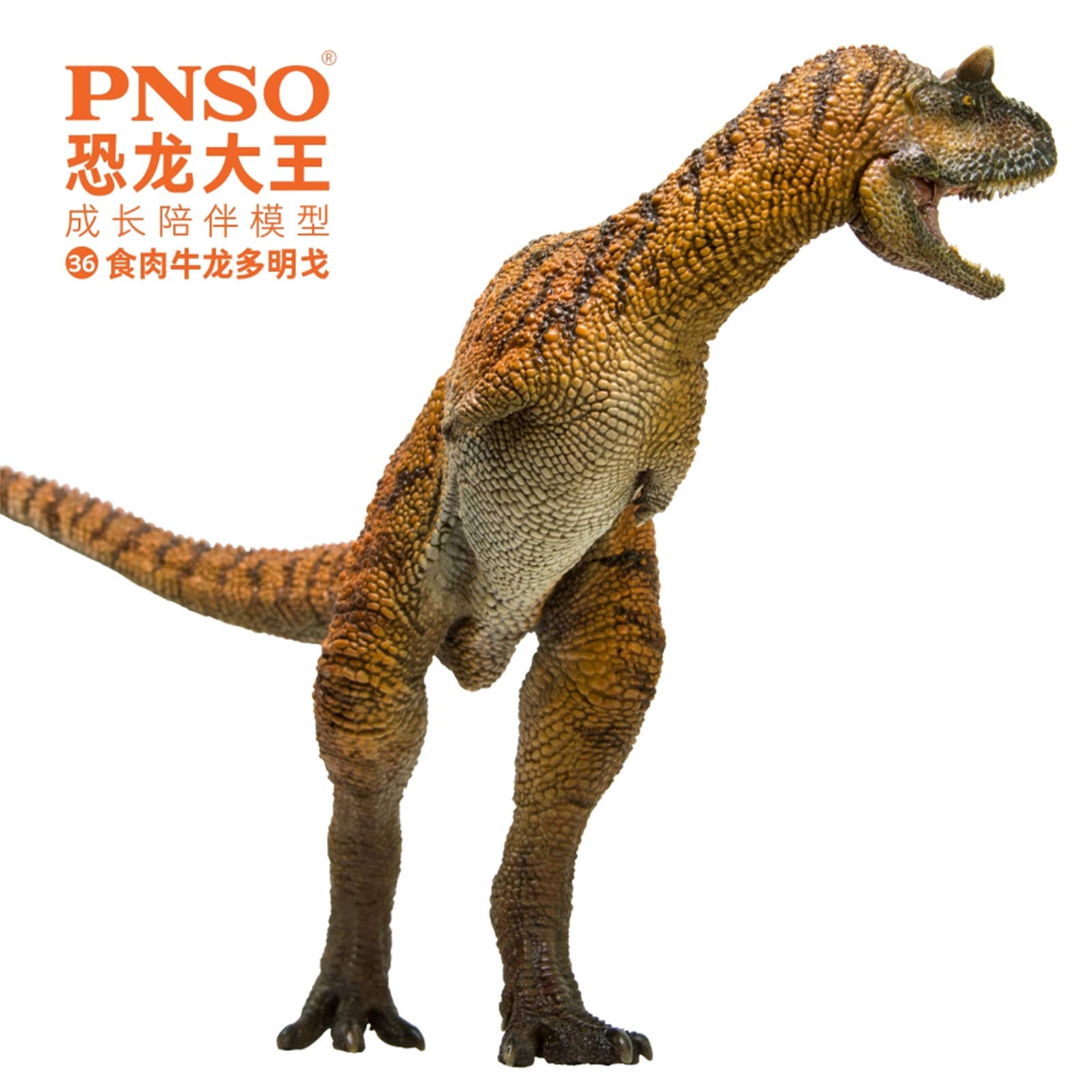 Amazon | PNSO 成長シリーズ 36 カルノタウルス 恐竜 フィギュア