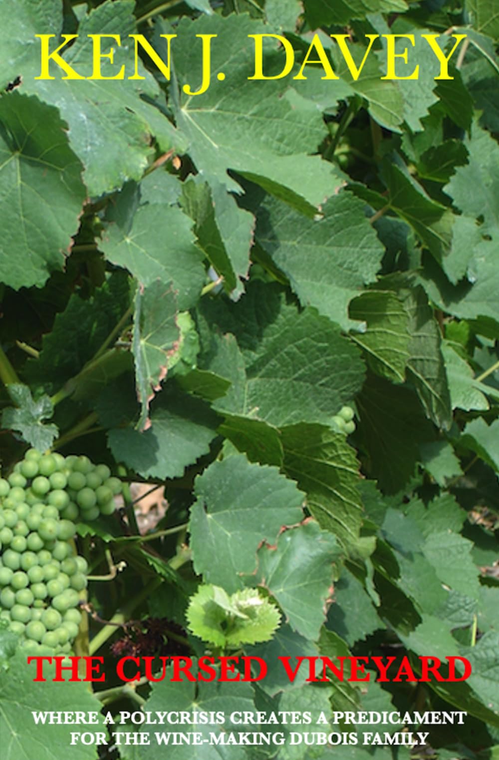 The Cursed Vineyard: Where a polycrisis creates a predicament for the wine-making Dubois family