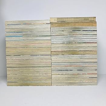 金色のガッシュ 全巻セット 1-33巻+まるかじりブック2冊 Amazon.co.jp: 金色のガッシュ 全巻セット 33巻 まるかじり