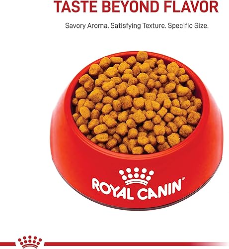 Miniatura 8 de Royal Canin Breed Health Nutrition Chihuahua 8 Alimentos secos para perros