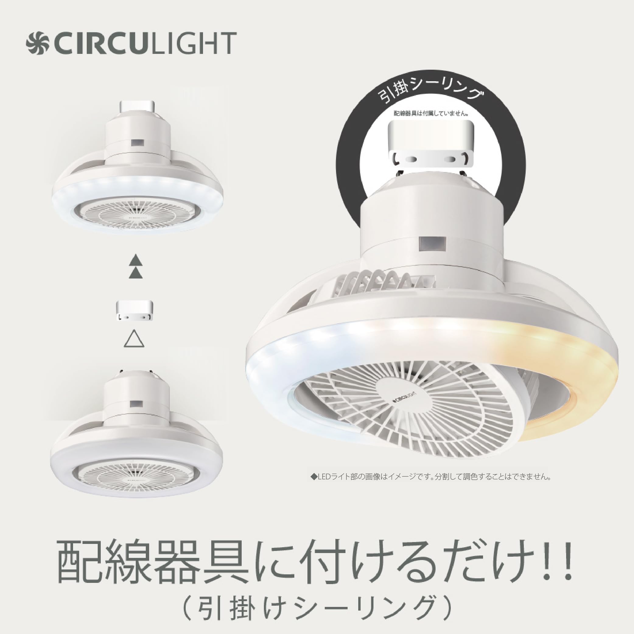Amazon.co.jp: 【省エネ・節電に】 ドウシシャ サーキュライト 