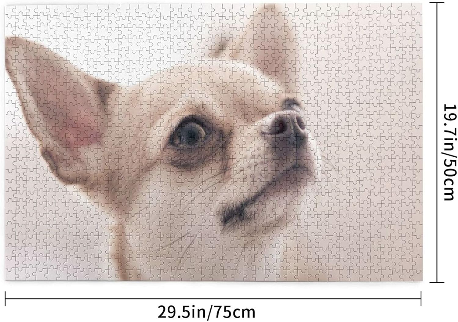 Amazon 動物 犬 チワワ Print 大人と子供のための1000個のパズルゲーム 親子教育ゲーム 誕生日プレゼント テーブルクロス オンライン通販 Amazon 動物 犬 チワワ Print 大人と子供のための1000個のパズルゲーム 親子教育ゲーム 誕生日プレゼント テーブルクロス オンライン通販